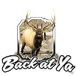 Upstream Images Back at Ya Color Widow Decal