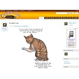 Kindle Cat