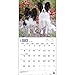 Papillons 2015 Wall Calendar