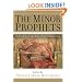 Minor Prophets, The: An Exegetical and Expository Commentary