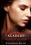 Vampire Academy, Tome 4 : Promesse de sang