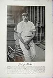 Sport Cricket 1895 George Porter Stewart Photograph