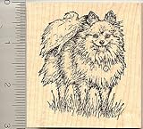 Realistic Pomeranian Dog Rubber Stamp