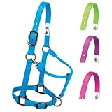 Graphite Adjustable Chin & Throat Snap Halters - Large: Hurricane Blue