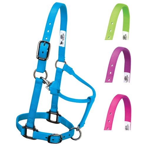 Weaver Leather HALTER,1ADJ,LARGE,PINK FUSION