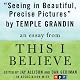 Seeing in Beautiful, Precise Pictures: A 'This I Believe' Essay
