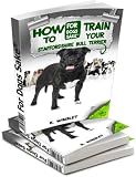 Staffordshire Bull Terrier Training