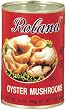 Roland Oyster Mushrooms, 14-Ounce Package (Pack of 24)