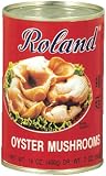 Review Roland  / Roland Oyster Mushrooms, 14-Ounce Package (Pack of 24)