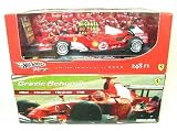��MATTEL HOT WHEELS ��1/18 Ferrari 248 F1 Monza 5 times Champion winner M.���塼...