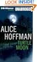 Turtle Moon