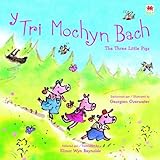 Y tri mochyn bach