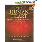 The The Human Heart: A Basic Guide to Heart Disease by Brendan Phibbs