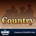 The Karaoke Channel - In the style of Tommy Shane Steiner / Bridgette Wilson-Sampras - Vol. 1