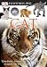 Search : Cat (Eyewitness Videos)