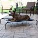 Coolaroo Deluxe Pet Bed - Charcoal - 458331-