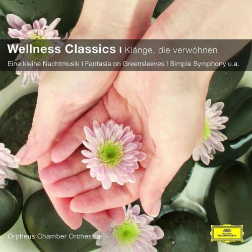 Produkt-Bild: Wellness Classics - Kl&auml;nge, die verw&ouml;hnen (Classical Choice)