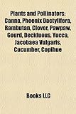 Plants and Pollinators: Canna, Phoenix Dactylifera, Rambutan, Clover, Pawpaw, Gourd, Deciduous, Yucca, Jacobaea Vulgaris, Cucumber, Copihue-