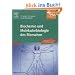 Biochemie und Molekularbiologie des Menschen: mit Zugang zum Elsevier-Portal