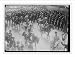 Newswire Photo (L): Funeral of King Edward. Kaiser, Duke of Connaught, King George