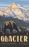 Northwest Art Mall 11 x 17 Poster Glacier National Park Bear and Cub by Paul A. Lanquist