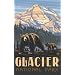 Northwest Art Mall 11" x 17" Poster Glacier National Park Bear and Cub by Paul A. Lanquist