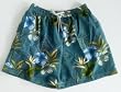 Mens Volley Swim Trunks with Elastic Waist, 2 Side Inseam Pockets. Faux Fly Front, Mesh lined. FernFloral Sizes S-XL
