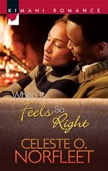 When It Feels So Right (Kimani Romance)