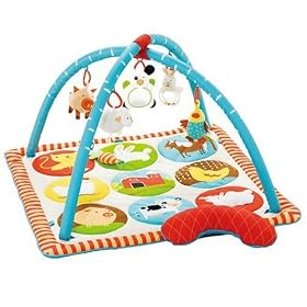 Skip Hop Activity Mat