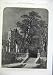 Fine Art 1863 Trees Steps Statues Arch Gateway Stars Fine Art 1863 Trees Steps Statues Arch Gateway Stars
