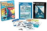 Whales and Dolphins Fun Kit (Boxed Sets/Bindups)
