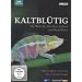 Kaltbl�tig - Die Welt der Drachen, Echsen und Amphibien (2 DVDs)