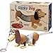 Slinky Dog Pull Toy