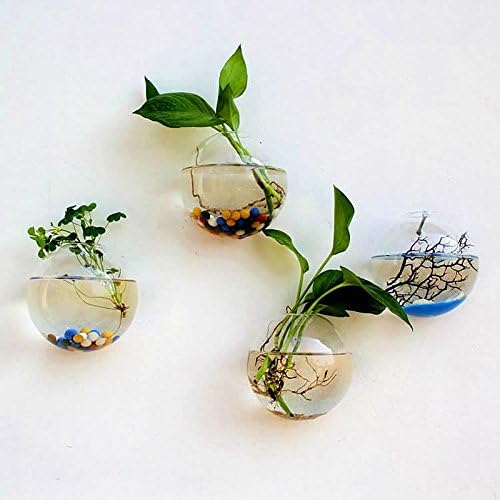 Hot Hanging Plant Flower Glass Ball Vase Terrarium Wall Fish Tank Aquarium Container "10cm" Set33