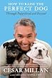 How to Raise the Perfect Dog: Through Puppyhood and Beyond How to Raise the Perfect Dog: Through Puppyhood and Beyond