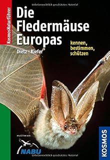 die Fledermäuse Europas - Leseprobe