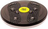 Everlast Twist Board With Magnets