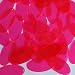 Sequin Oval 1.5 inch Pink Fluorescent Transparent See Thru Couture Loose Paillettes. Made in USA.
