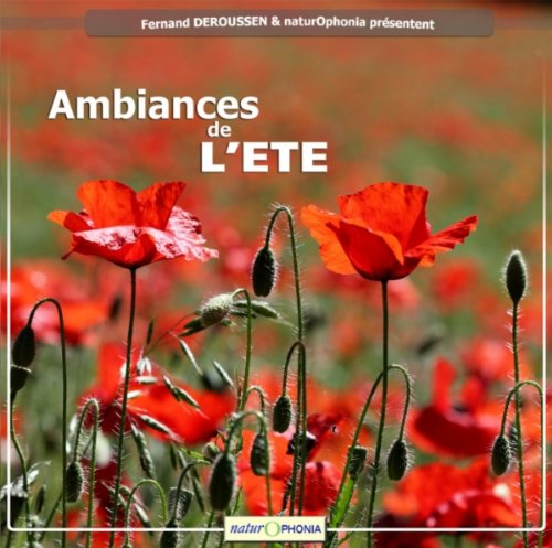 Rossignols et rainettes