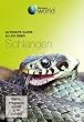 Ultimate Guide - Alles �ber Schlangen
