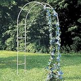 Arched Trellis