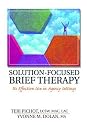 Solution-focused Brief Therapy: Its Effective Use in Agency Settings (Haworth Marriage and the Family)