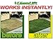 Lawnlift Pre-Mixed Grass Paint 32 Ounce Ready to Spray, No Mixing, 32 oz., Green