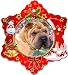 Chinese Shar-Pei Porcelain Holiday Ornament