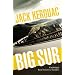Big Sur (Library Edition)
