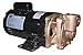 DAYTON 4JPD7 Turbine Pump, 3/4 HP, 1 Ph, 11.3/5.6 Amp