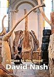 David Nash : a place in the wood