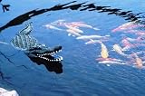 Aquascape 93000 Floating Alligator Decoy