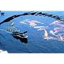 Aquascape 93000 Floating Alligator Decoy