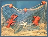 20 X 8 Ft TAN Fish NET with Floats, Lobster, Crab, Rope, Nautical Wedding Decor